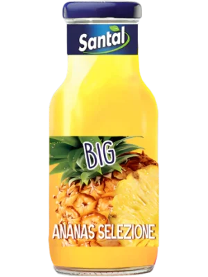 Santal Nektar Ananasowy 100%  24SZT x 250ML /BOX