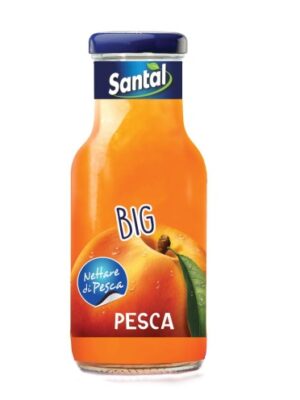 Santal Nektar Brzoskwiniowy 24 SZT X 250 ML